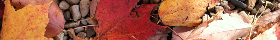 AutumnLeaves