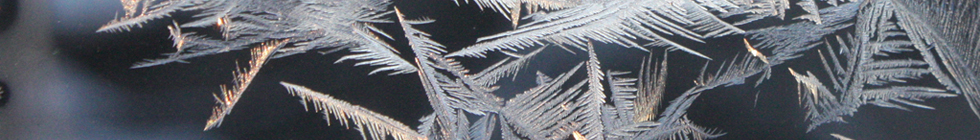 IcyBranches